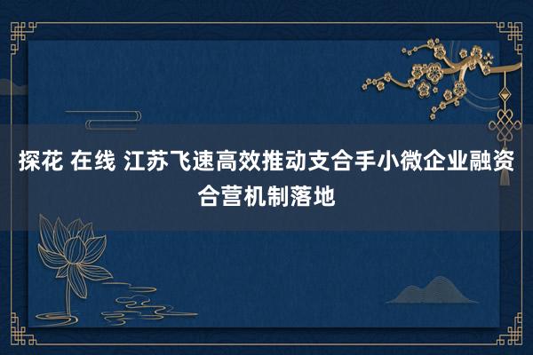 探花 在线 江苏飞速高效推动支合手小微企业融资合营机制落地