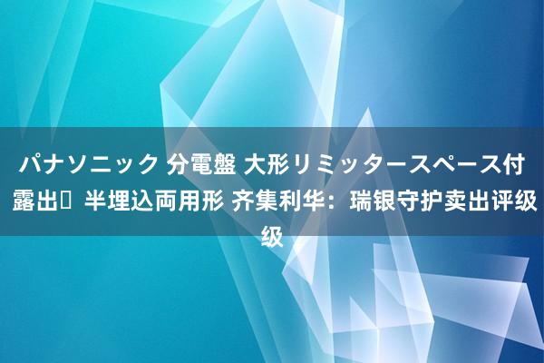 パナソニック 分電盤 大形リミッタースペース付 露出・半埋込両用形 齐集利华：瑞银守护卖出评级