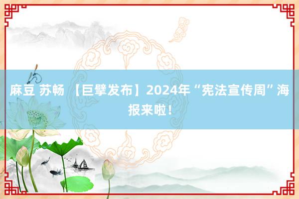麻豆 苏畅 【巨擘发布】2024年“宪法宣传周”海报来啦！