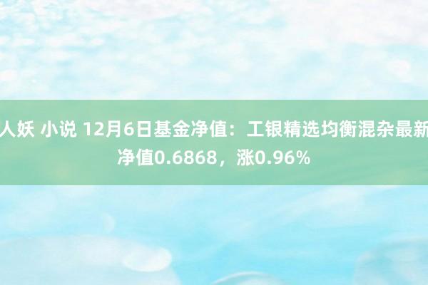 人妖 小说 12月6日基金净值：工银精选均衡混杂最新净值0.6868，涨0.96%