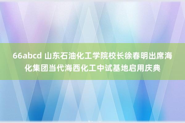 66abcd 山东石油化工学院校长徐春明出席海化集团当代海西化工中试基地启用庆典