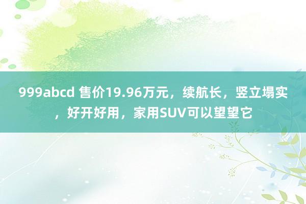 999abcd 售价19.96万元，续航长，竖立塌实，好开好用，家用SUV可以望望它