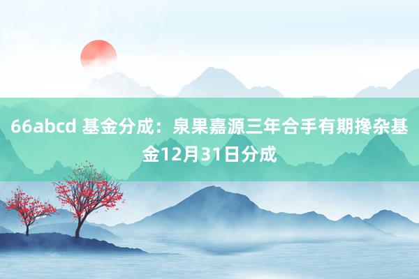 66abcd 基金分成：泉果嘉源三年合手有期搀杂基金12月31日分成
