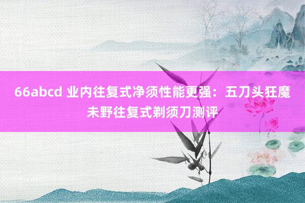 66abcd 业内往复式净须性能更强：五刀头狂魔未野往复式剃须刀测评
