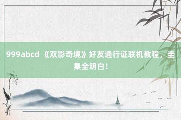 999abcd 《双影奇境》好友通行证联机教程，圭臬全明白！
