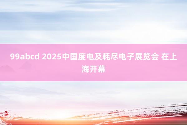 99abcd 2025中国度电及耗尽电子展览会 在上海开幕