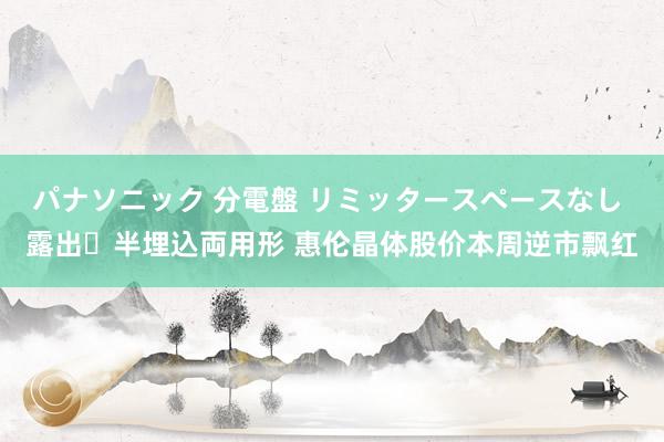 パナソニック 分電盤 リミッタースペースなし 露出・半埋込両用形 惠伦晶体股价本周逆市飘红