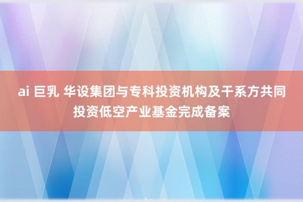 ai 巨乳 华设集团与专科投资机构及干系方共同投资低空产业基金完成备案