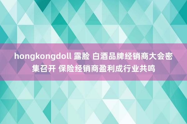 hongkongdoll 露脸 白酒品牌经销商大会密集召开 保险经销商盈利成行业共鸣