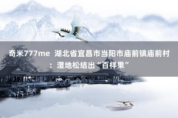 奇米777me  湖北省宜昌市当阳市庙前镇庙前村：湿地松结出“百样果”