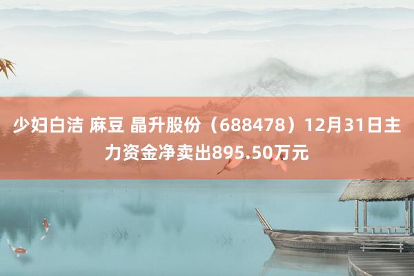 少妇白洁 麻豆 晶升股份（688478）12月31日主力资金净卖出895.50万元