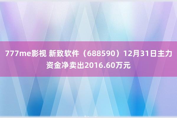 777me影视 新致软件（688590）12月31日主力资金净卖出2016.60万元