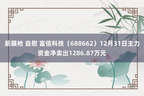 筋膜枪 自慰 富信科技（688662）12月31日主力资金净卖出1286.87万元