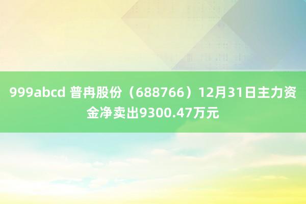 999abcd 普冉股份（688766）12月31日主力资金净卖出9300.47万元