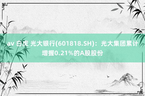 av 白虎 光大银行(601818.SH)：光大集团累计增握0.21%的A股股份