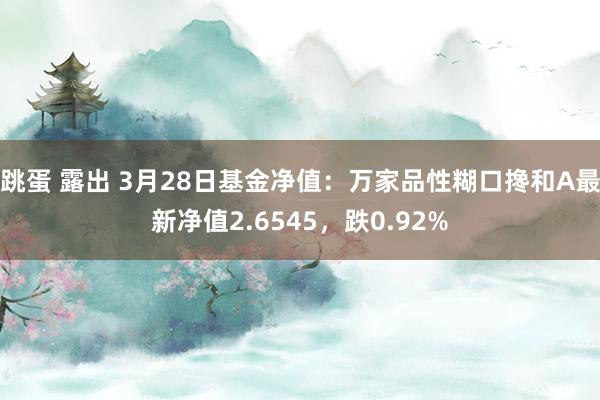 跳蛋 露出 3月28日基金净值：万家品性糊口搀和A最新净值2.6545，跌0.92%