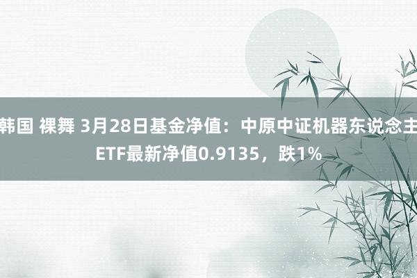 韩国 裸舞 3月28日基金净值：中原中证机器东说念主ETF最新净值0.9135，跌1%