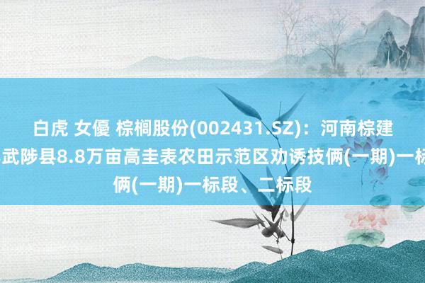 白虎 女優 棕榈股份(002431.SZ)：河南棕建中标2024年武陟县8.8万亩高圭表农田示范区劝诱技俩(一期)一标段、二标段