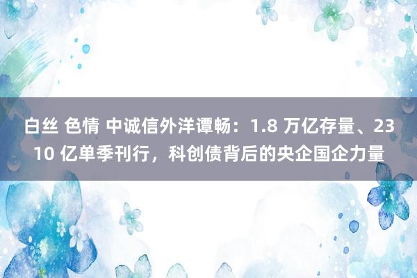 白丝 色情 中诚信外洋谭畅：1.8 万亿存量、2310 亿单季刊行，科创债背后的央企国企力量