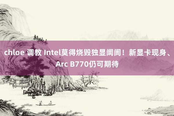 chloe 调教 Intel莫得烧毁独显阛阓！新显卡现身、Arc B770仍可期待