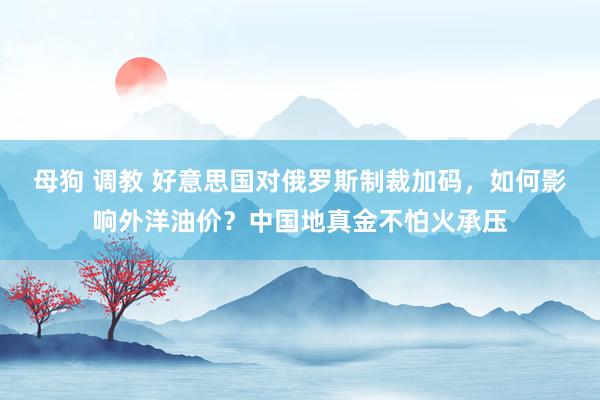 母狗 调教 好意思国对俄罗斯制裁加码，如何影响外洋油价？中国地真金不怕火承压