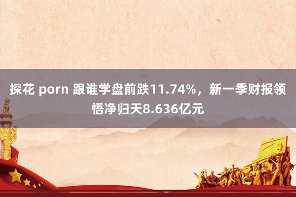 探花 porn 跟谁学盘前跌11.74%，新一季财报领悟净归天8.636亿元