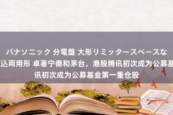 パナソニック 分電盤 大形リミッタースペースなし 露出・半埋込両用形 卓著宁德和茅台，港股腾讯初次成为公募基金第一重仓股