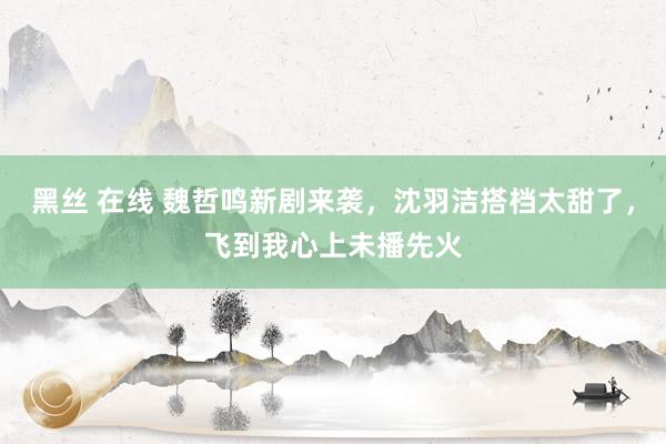 黑丝 在线 魏哲鸣新剧来袭，沈羽洁搭档太甜了，飞到我心上未播先火