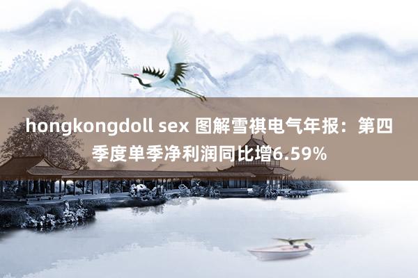 hongkongdoll sex 图解雪祺电气年报：第四季度单季净利润同比增6.59%