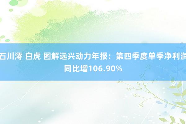 石川澪 白虎 图解远兴动力年报：第四季度单季净利润同比增106.90%