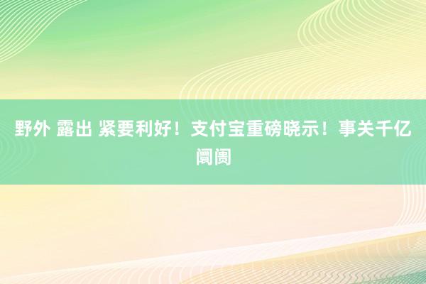 野外 露出 紧要利好！支付宝重磅晓示！事关千亿阛阓